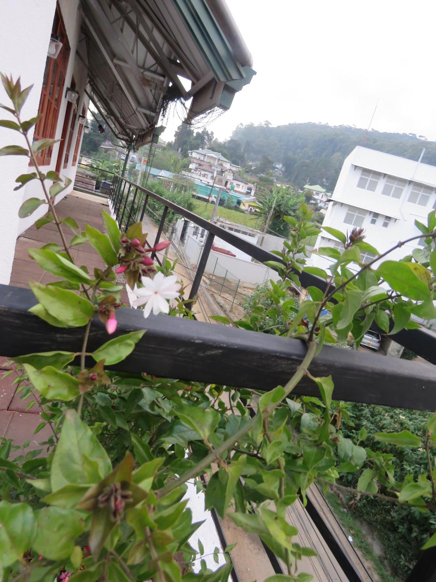 Dream Hill Homestay Nuwara Eliya Exterior photo